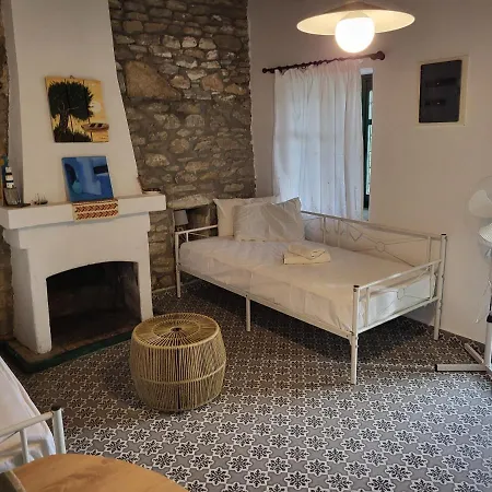 Relaxing Traditional House
